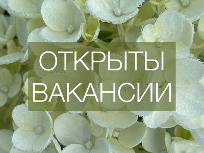 Открыты вакансии