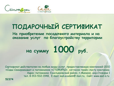 Подарочный сертификат на 1000 рублей